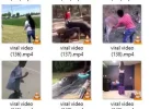 vieos.webp