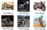 rttrtrtrt.webp