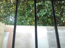 10.webp