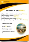 subasta2.webp