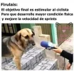 FB_IMG_1671395519516.webp