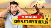 20 curiosidades.webp