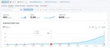 captura seo trafico 1.webp