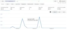 Google Adsense Gato Persa.webp