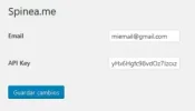 Screenshot-2017-10-7-Configuración-de-Spinea-me-%u2039-Blog-de-Spinea-me-—-WordPress-300x172.webp