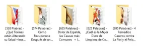 Captura.webp