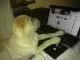 carpetilla.webp
