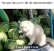 322394776_1225839411366487_4800196329727236820_n.webp