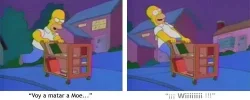 homer_wii.webp