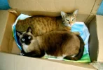 DSCN2728.webp