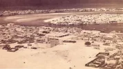 dubai1950_content.webp dubai1950_content.webp