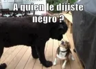 0000_601324_498724810173298_436344146_n.webp