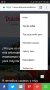 version movil 2.webp