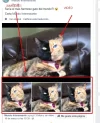 POSTS.webp