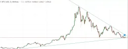 TENDENCIAS.webp