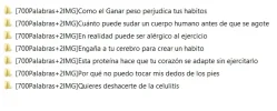 salid.webp salid.webp