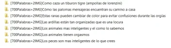 animales.webp