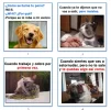 10.webp
