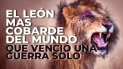 Miniatura ganar dinero en internet YouTube rojo simple (2).png