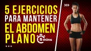 miniatura4.png