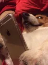 CR5tSyKU8AAE4Wd.webp