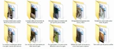 Articulos.webp