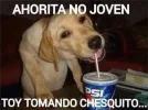memes-de-ahorita-no-joven11.webp