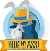 HMA-HideMyAss-Logo-BitMyAss.webp
