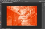 duotono_paso006e.webp