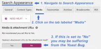 search-appearance-tab.webp