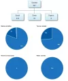 Sin título.webp