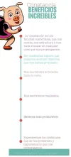 infografia.webp