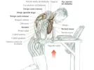 450_1000.webp