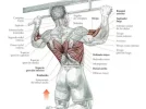 oposiciones-3.webp