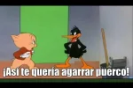 puerco.webp