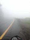 22688539_1689404781090029_8136917087399840409_n.webp