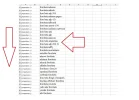 9-Trabaja con tu excel.webp 9-Trabaja con tu excel.webp