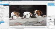 Screenshot_20180722_142019.webp