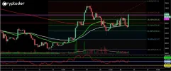 bch-eur-24-07.webp bch-eur-24-07.webp