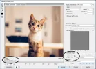 tuto4.webp