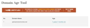 domain age.webp