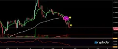 stellar-31-07.webp