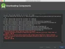 captura.webp