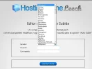 iNGRESOHOSTINGFLAME.webp