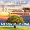 banner.webp