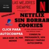 net (5).webp