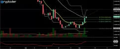 nem-btc-05-09.webp
