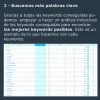 Sin título-5.webp