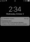 mensaje a estado unidenses de alerta 2.webp