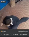 YT.webp